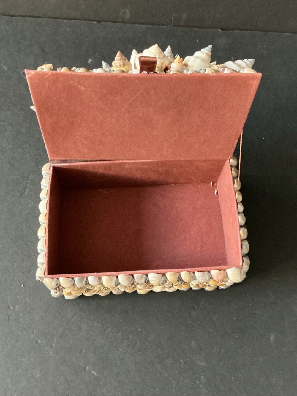 Seashell Accent Box in Pink and Cream — Decorative Home Accent - Picture 5 of 5